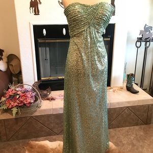 Beautiful sequin dress!